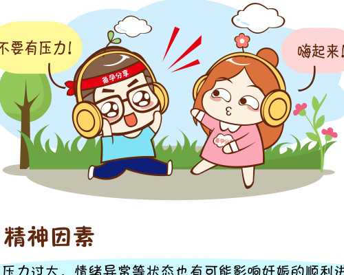 揭秘试管婴儿的费用明细与医院选择